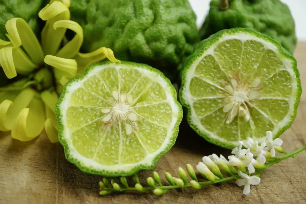 Bergamot Top Note in Perfumes: A Fresh, Citrusy, and Energizing Scent