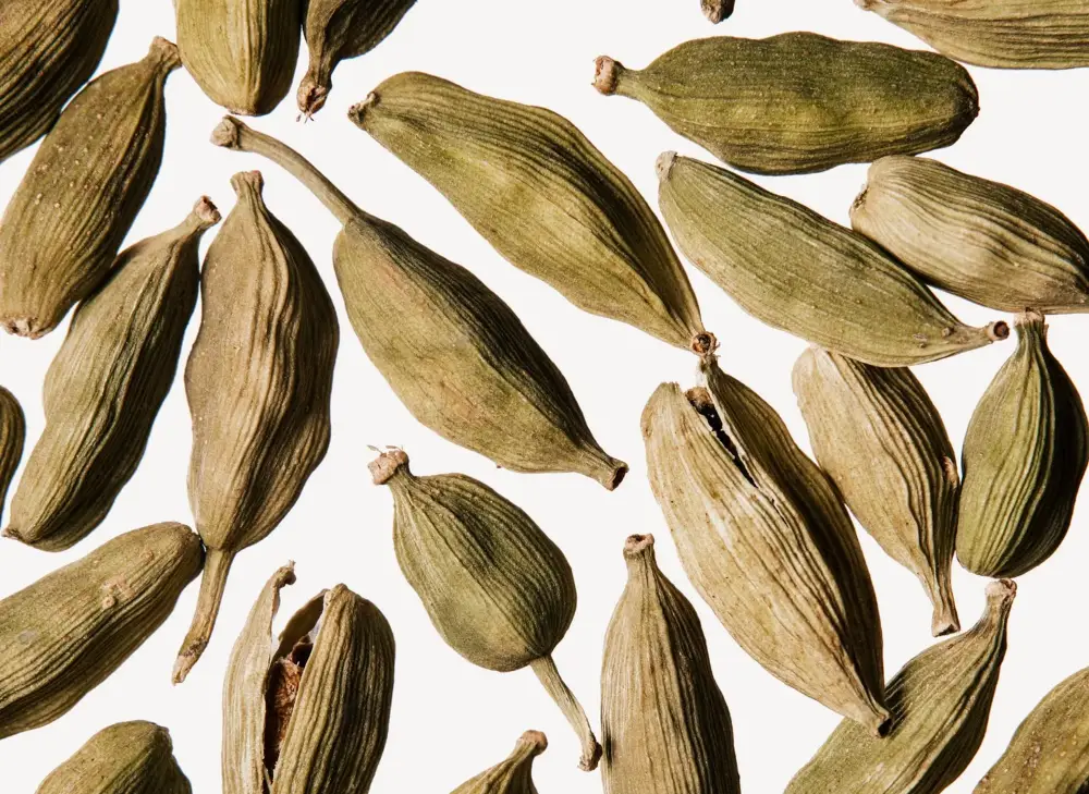 Cardamom Base Note in Perfumes: A Warm and Luxurious Signature for Your Scent